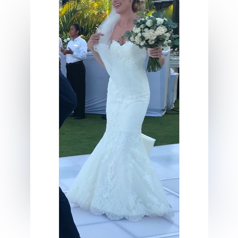 Pronovias Princia Wedding Dress